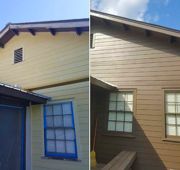 Dowglas Painting and More